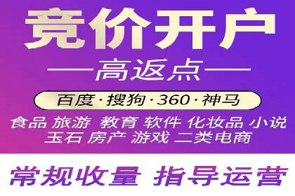SEM托管公司案例分析：实战技巧全解析